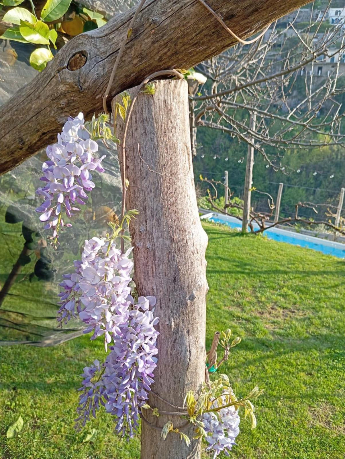 فيلا Casa Mia سكالا المظهر الخارجي الصورة